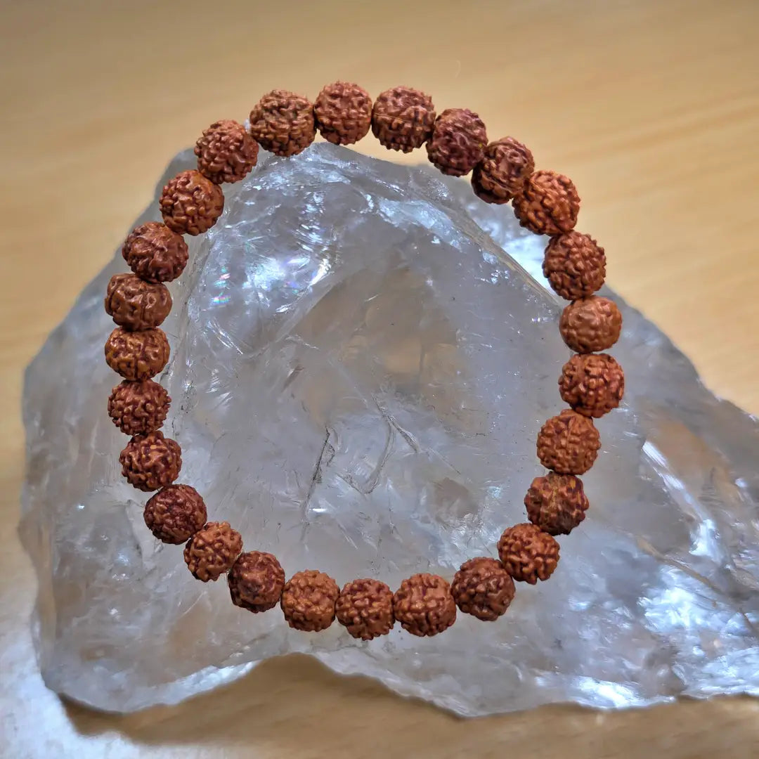 rudraksha bracelet with brown beads on a clear crystal stone